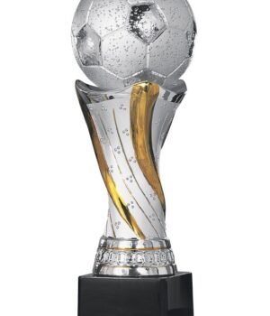 trophée FOOT